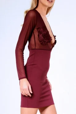 Rebellious Fashion Aubergine Applique Mesh Long Sleeve Bodycon Dress - Georgina