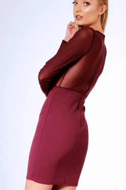 Rebellious Fashion Aubergine Applique Mesh Long Sleeve Bodycon Dress - Georgina