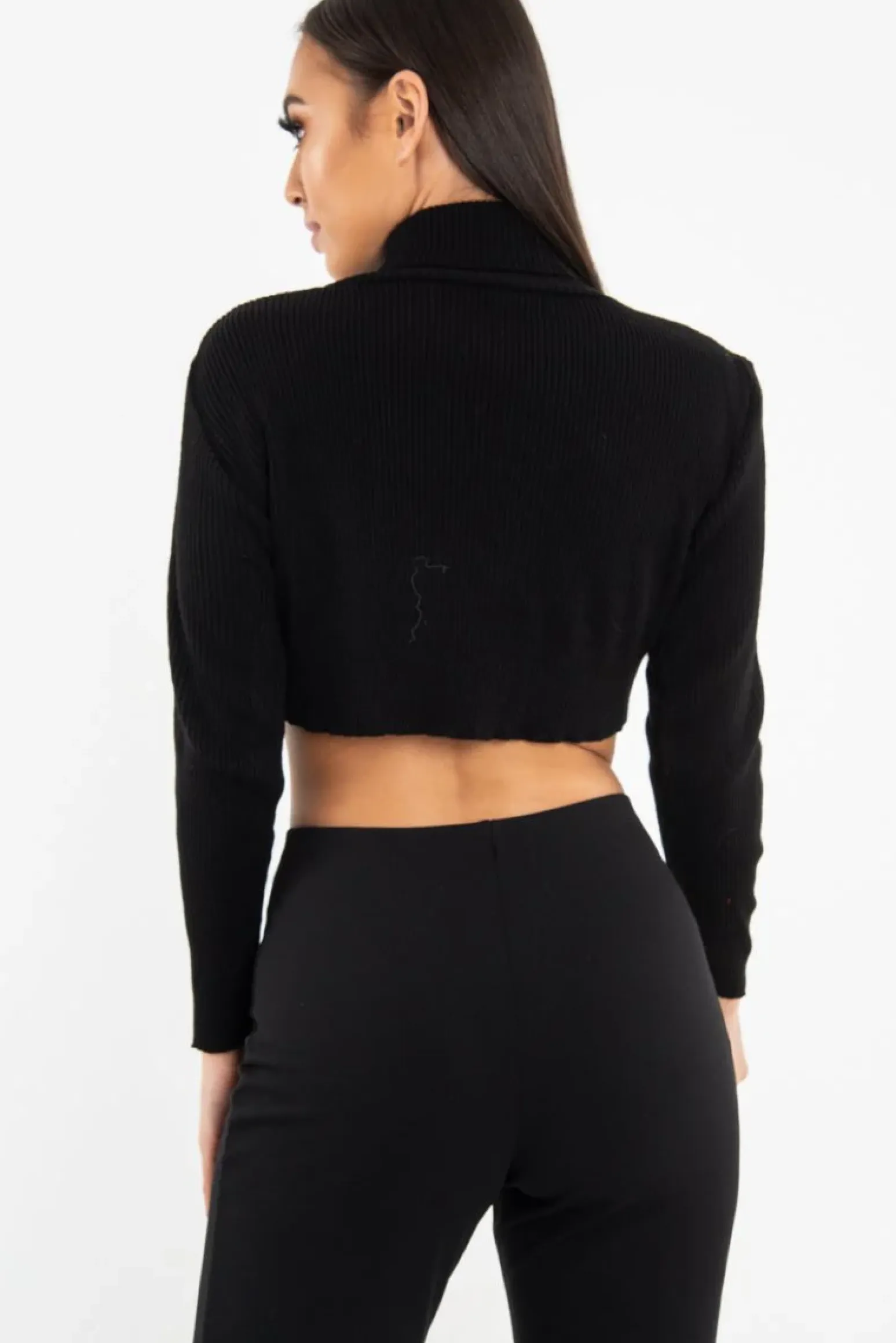 Rebellious Fashion Black Rib Roll Neck Crop Jumper - Hayvin