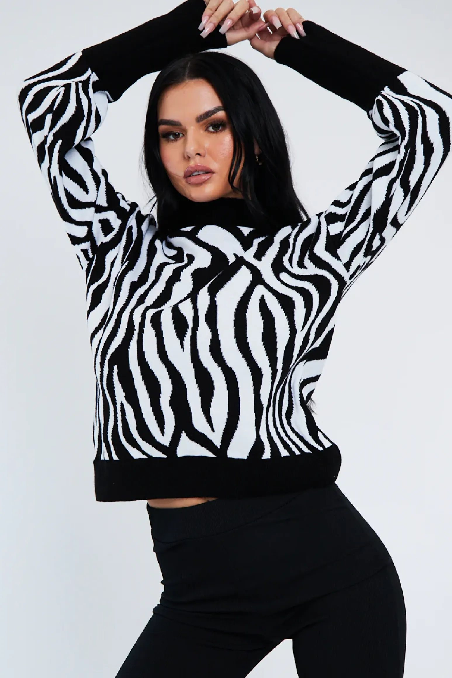Rebellious Fashion Black White Zebra Print Jumper - Tylin
