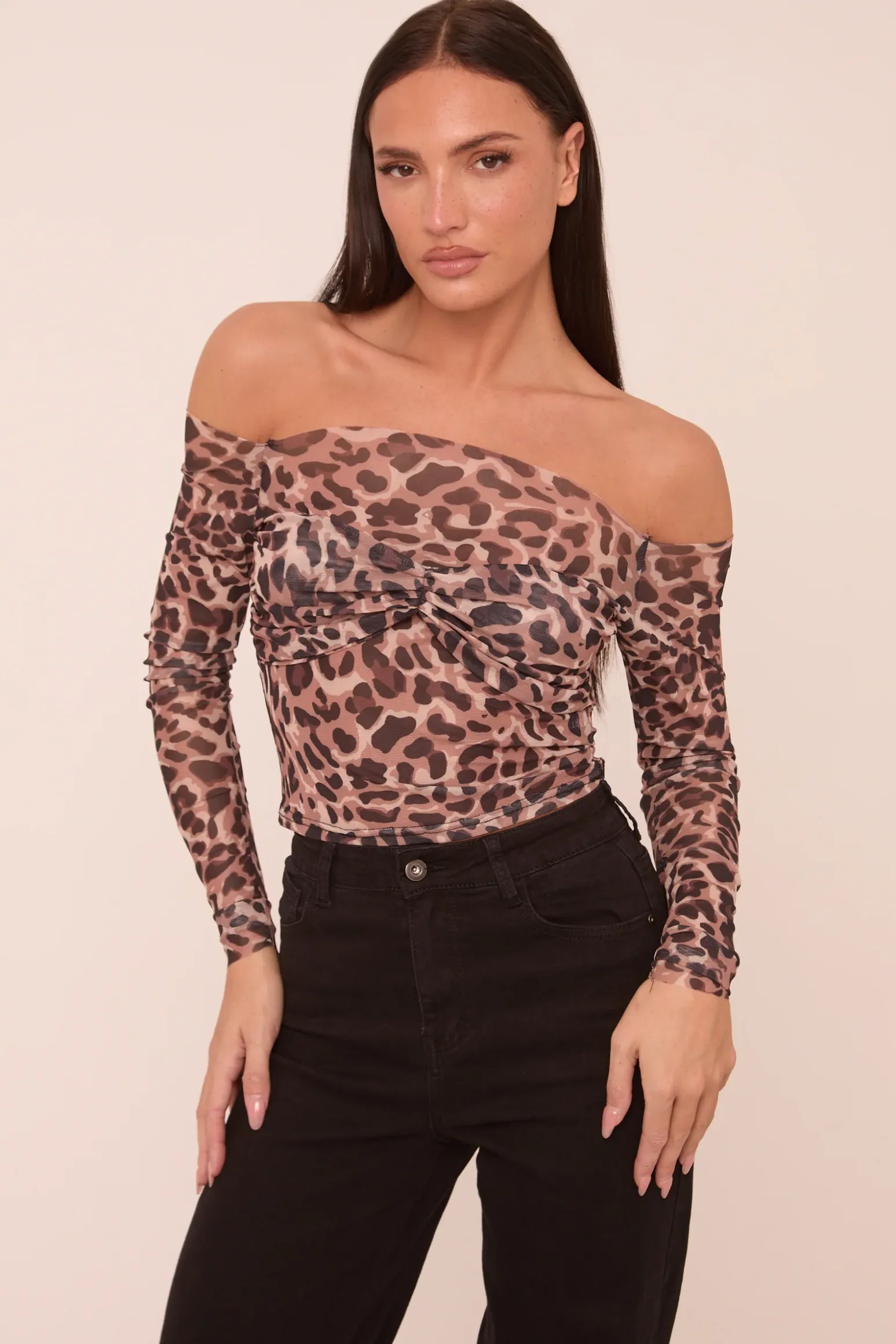 Rebellious Fashion Brown Leopard Print Mesh Bardot Long Sleeves Cropped Top - Mahalie