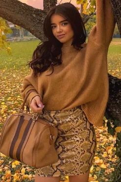 Rebellious Fashion Brown Snake Print Faux Leather Zip Skirt - Edda