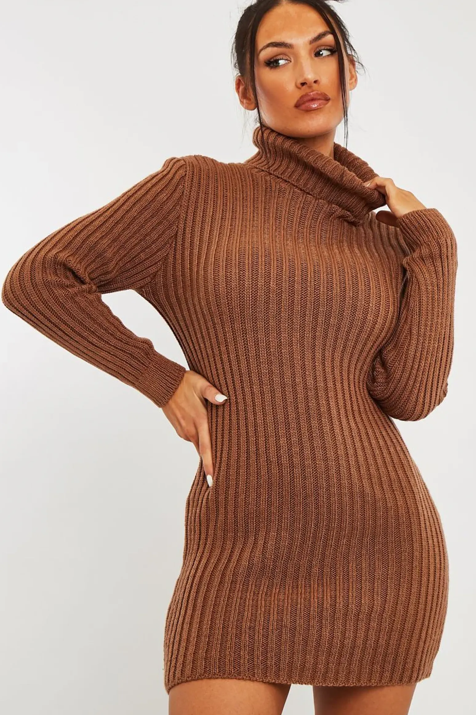 Rebellious Fashion Camel Roll Neck Knit Mini Dress - Franceska