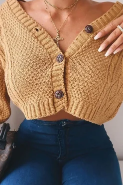 Rebellious Fashion Camel Chunky Knit Button Up Crop Cardigan - Elly