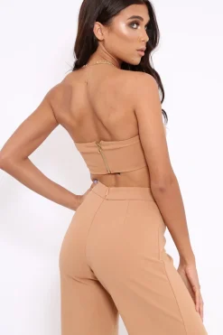Rebellious Fashion Camel Deep Plunge Metal V Boobtube - Karolynn