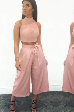 Rebellious Fashion Dusty Pink Mesh Round Neck Crop Top - Carii