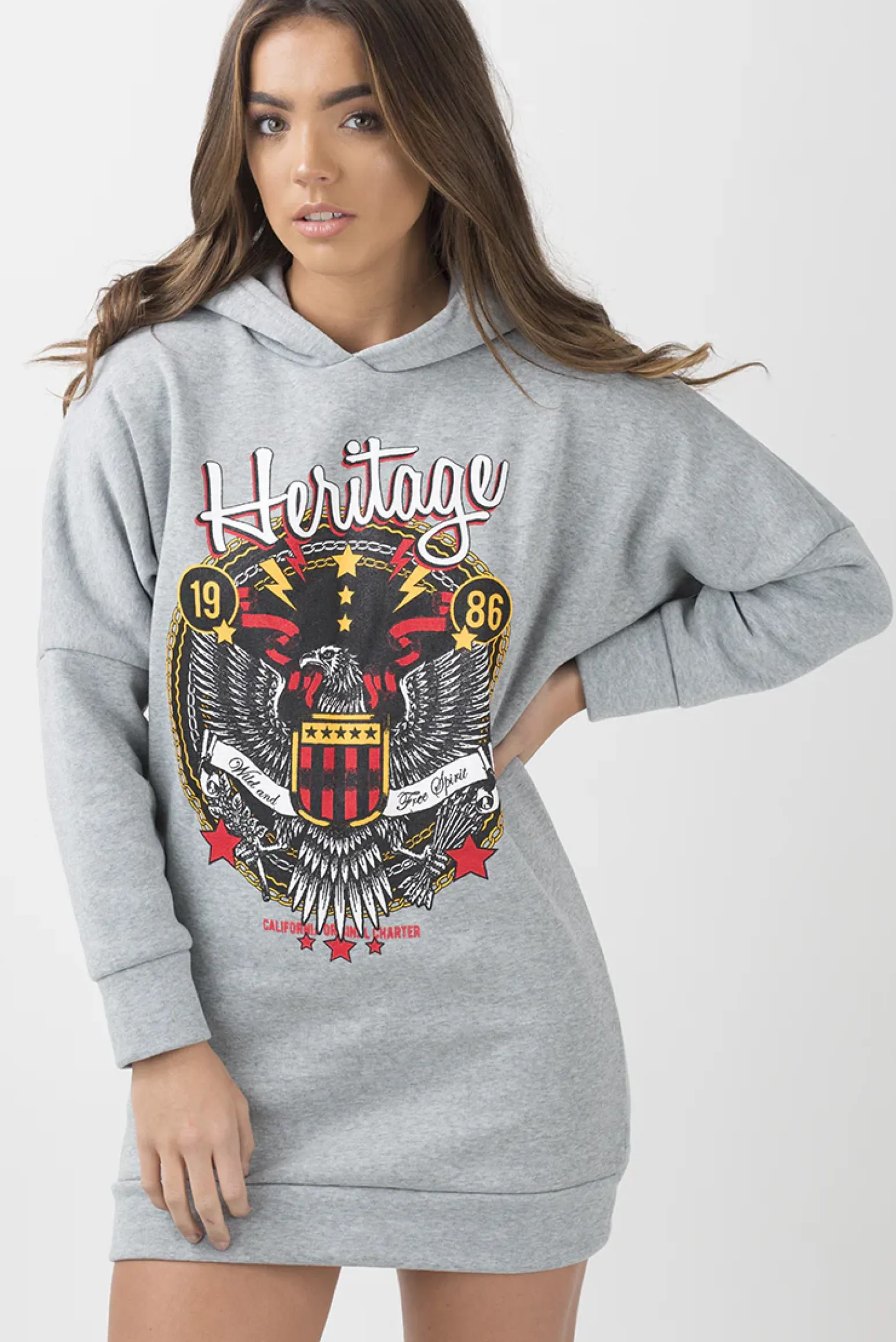 Rebellious Fashion Grey 'Heritage' Graphic Print Oversized Hoodie - Violet