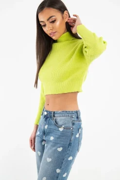 Rebellious Fashion Lime Rib Roll Neck Crop Jumper - Hayvin