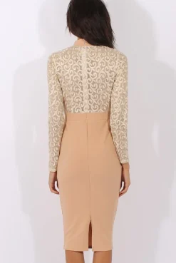 Rebellious Fashion Nude & Gold Mesh Top Embroidered Midi Dress - Louiza