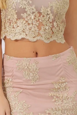 Rebellious Fashion Nude Pink & Gold Embellished Co-ord - Norah