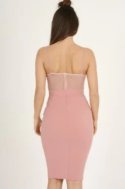 Rebellious Fashion Pink Applique Mesh Bodycon Dress - Tallulah