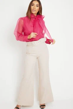 Rebellious Fashion Pink Mesh Balloon Sleeve Blouse - Elvina