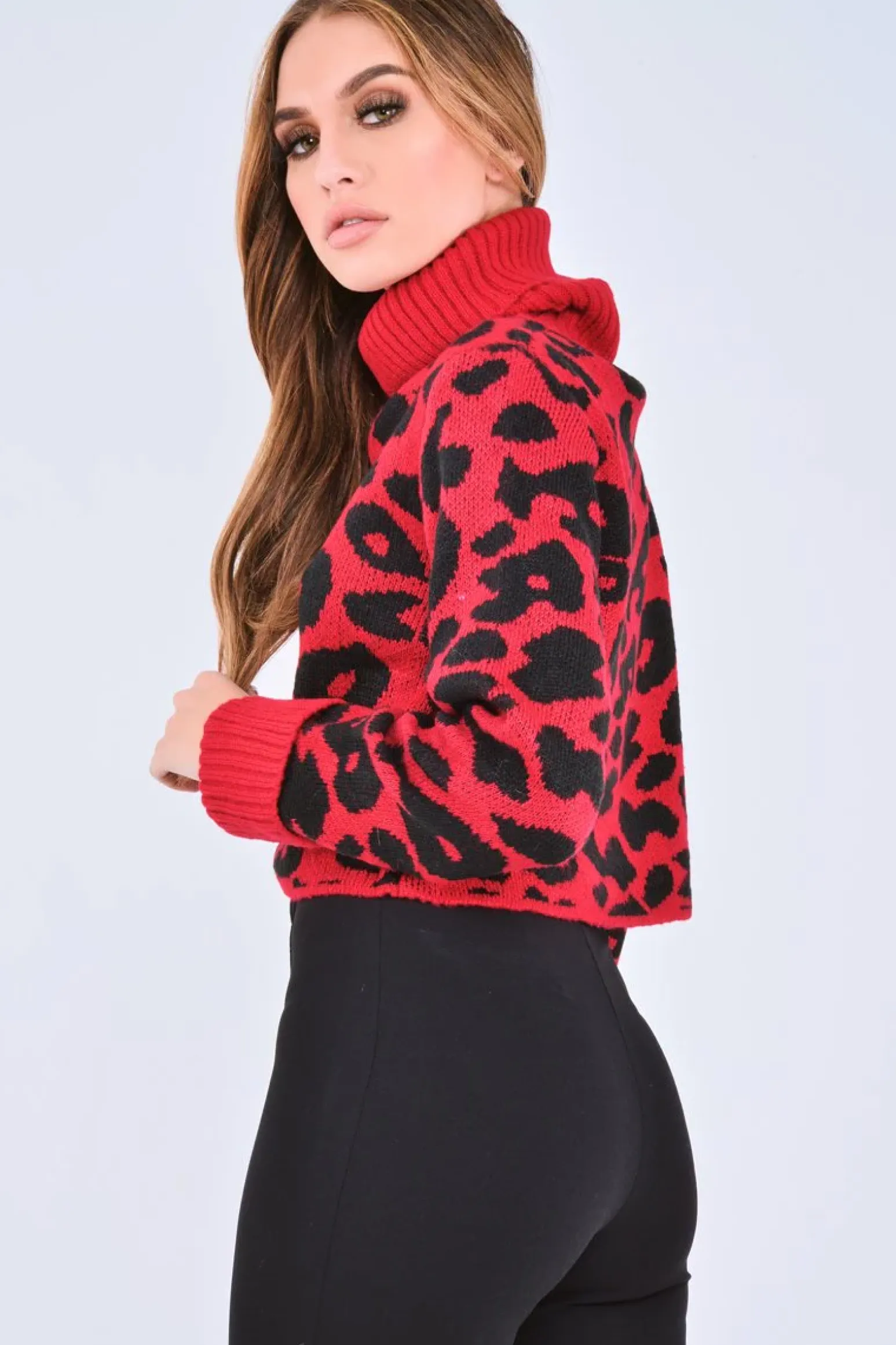 Rebellious Fashion Red Leopard Crop Roll Neck Jumper - Halley