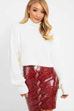 Rebellious Fashion Red Snake Print Faux Leather Zip Skirt - Edda