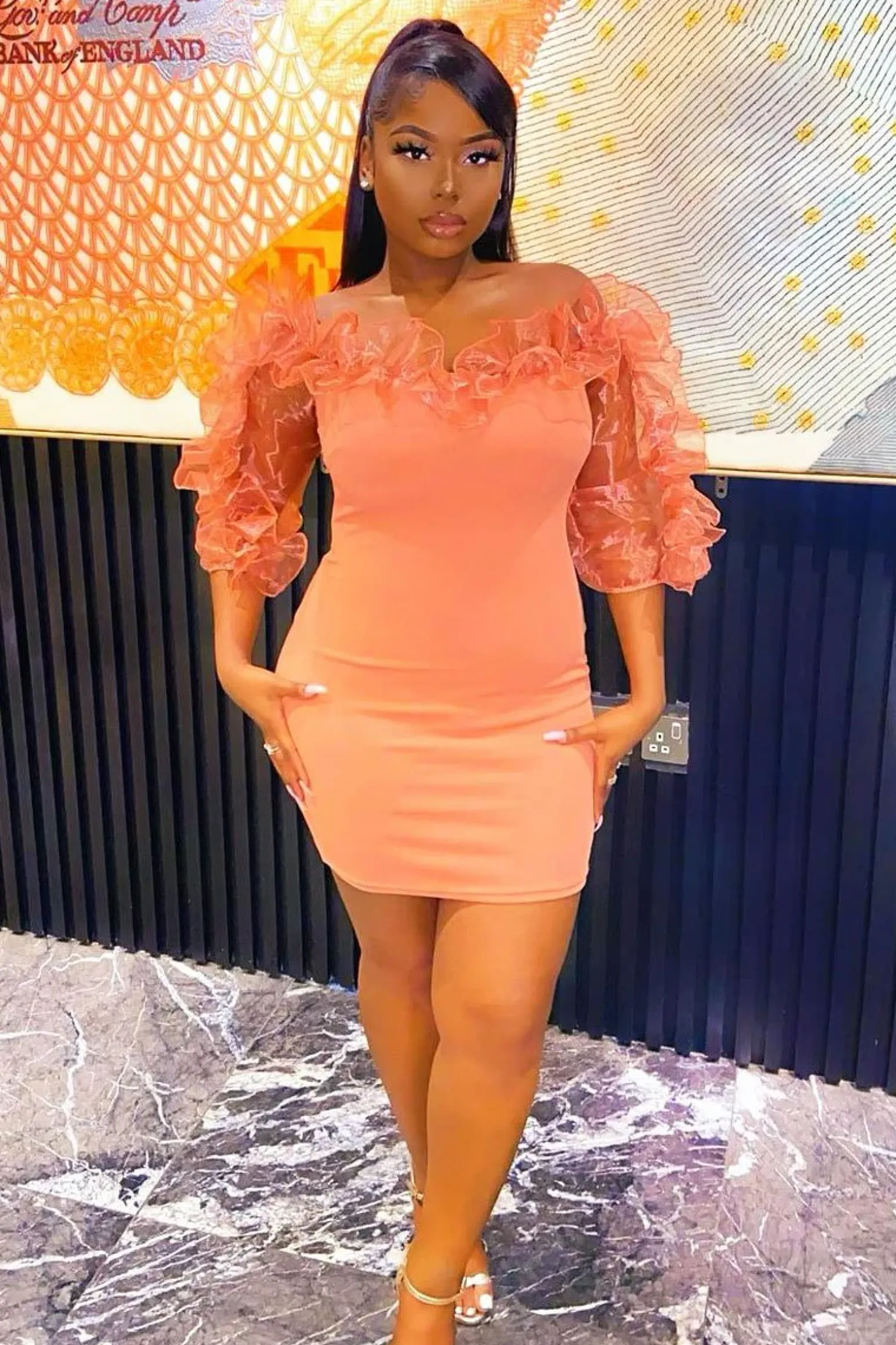 Rebellious Fashion Rose Mesh Frill Neck Bardot Mini Bodycon Dress - Ellarae