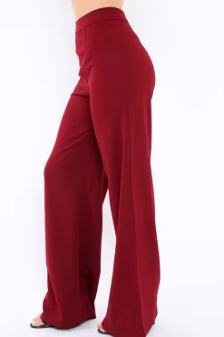 Rebellious Fashion Wine High Waist Flare Trousers -Tisha