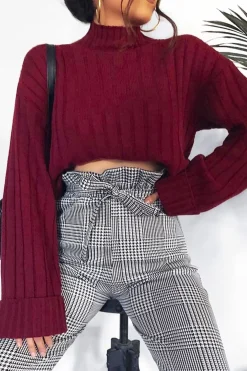 Rebellious Fashion Wine Knit High Neck Jumper - Jaelynn