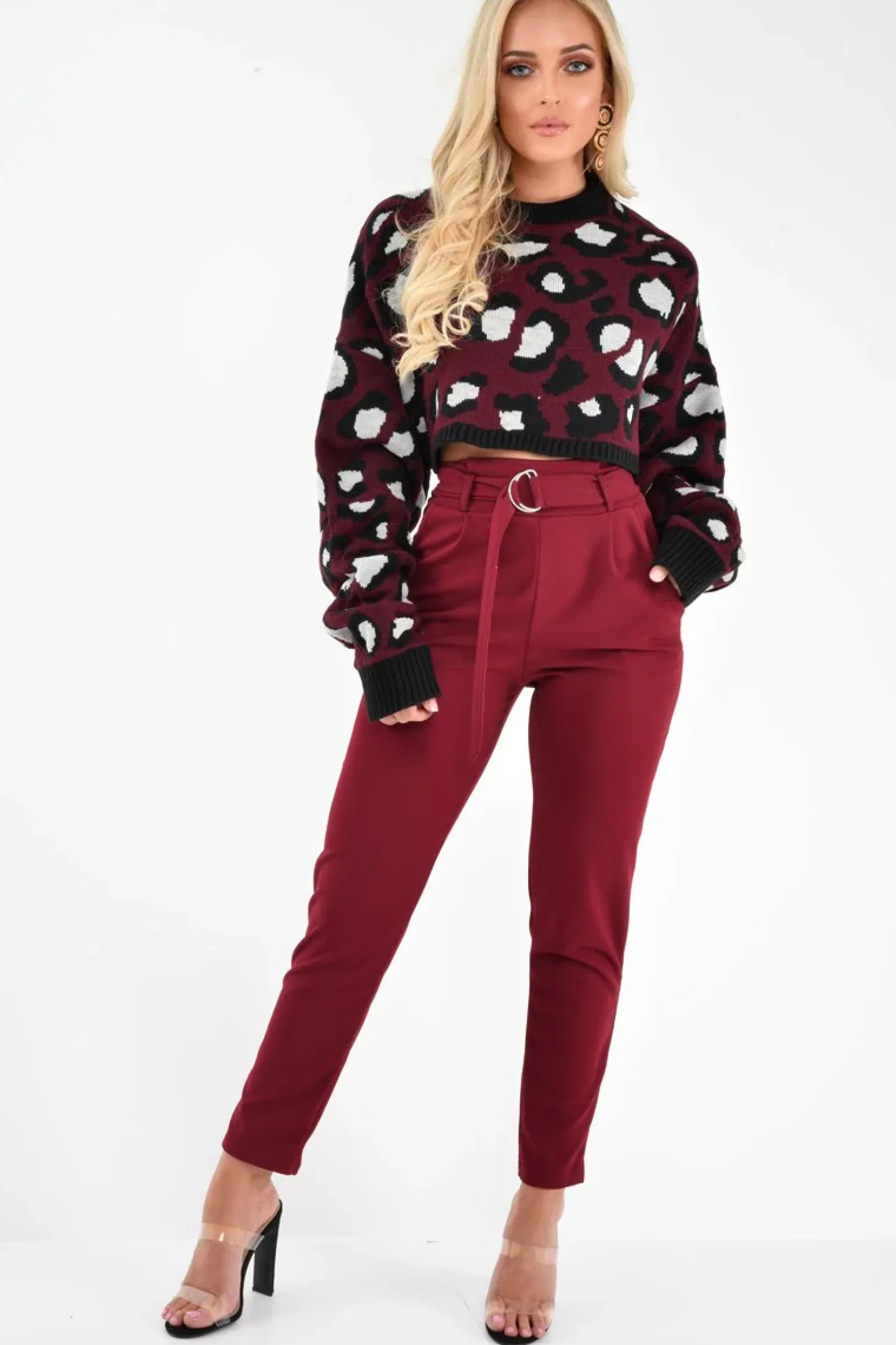 Rebellious Fashion Wine Leopard Crop Batwing Jumper - Raigen