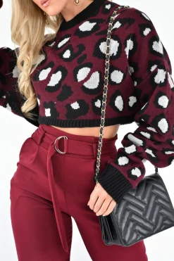 Rebellious Fashion Wine Leopard Crop Batwing Jumper - Raigen