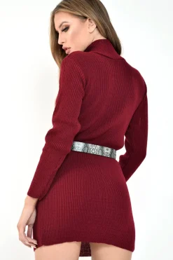 Rebellious Fashion Wine Rib Bodycon Turtle Neck Mini Dress - Tesia