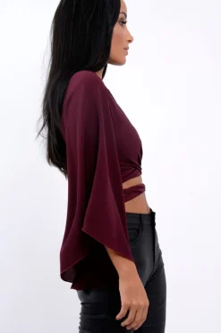 Rebellious Fashion Wine Wrap Tie Crop Blouse - Kay