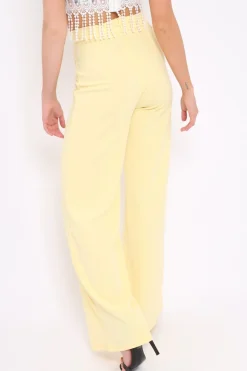 Rebellious Fashion Yellow High Waist Flare Trousers -Tisha